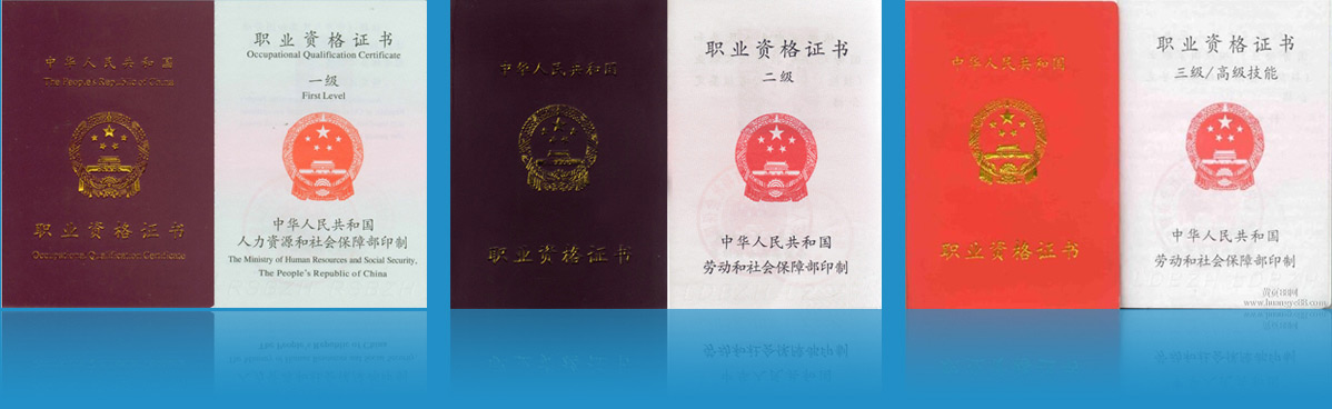 同呈教育劳动关系协调师证书展示